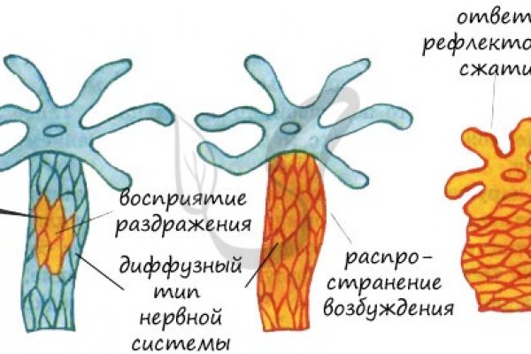 Kraken 13at сайт