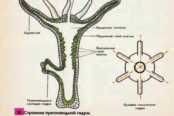 Кракен сайт 2krnk cc